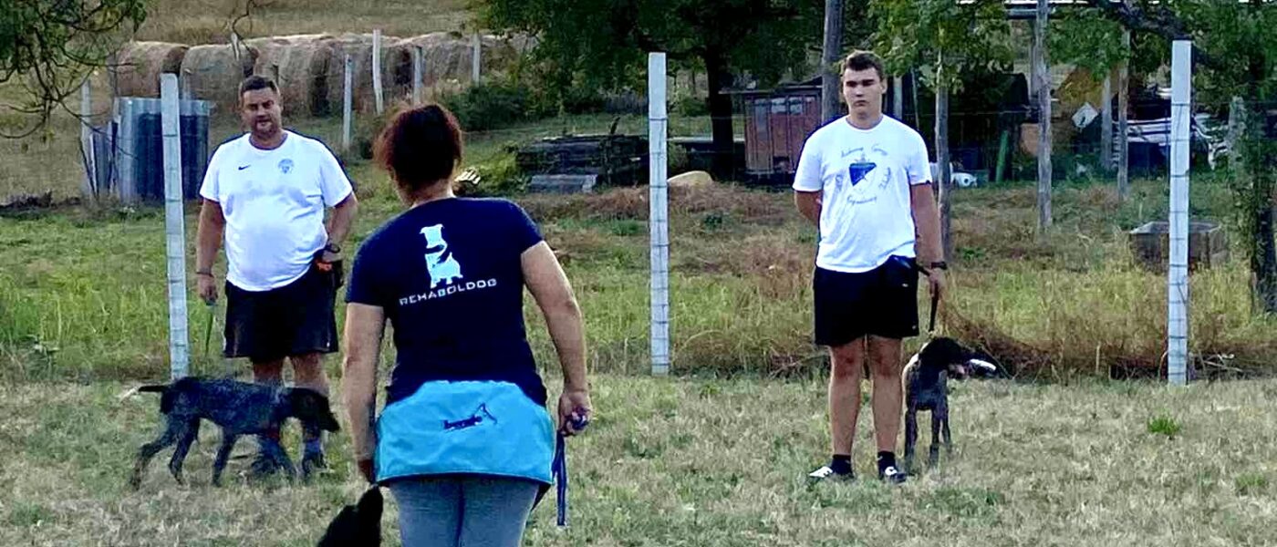 Alap és Szocializációs Képzés