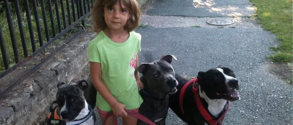 Kisgazdi-képző tanfolyam