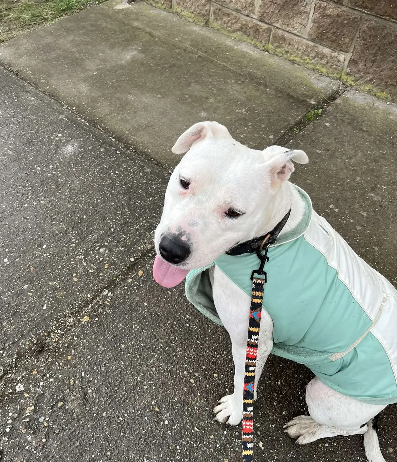 Aby és a nehéz előélet