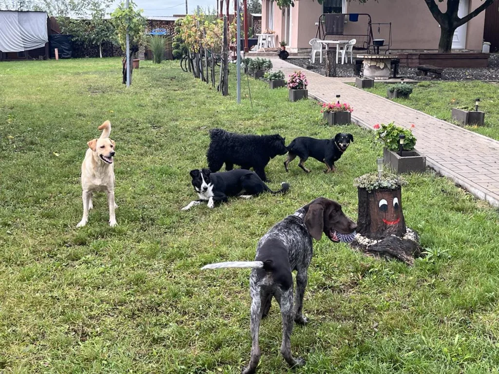 473810764_1646347002632561_3103680751698521005_n