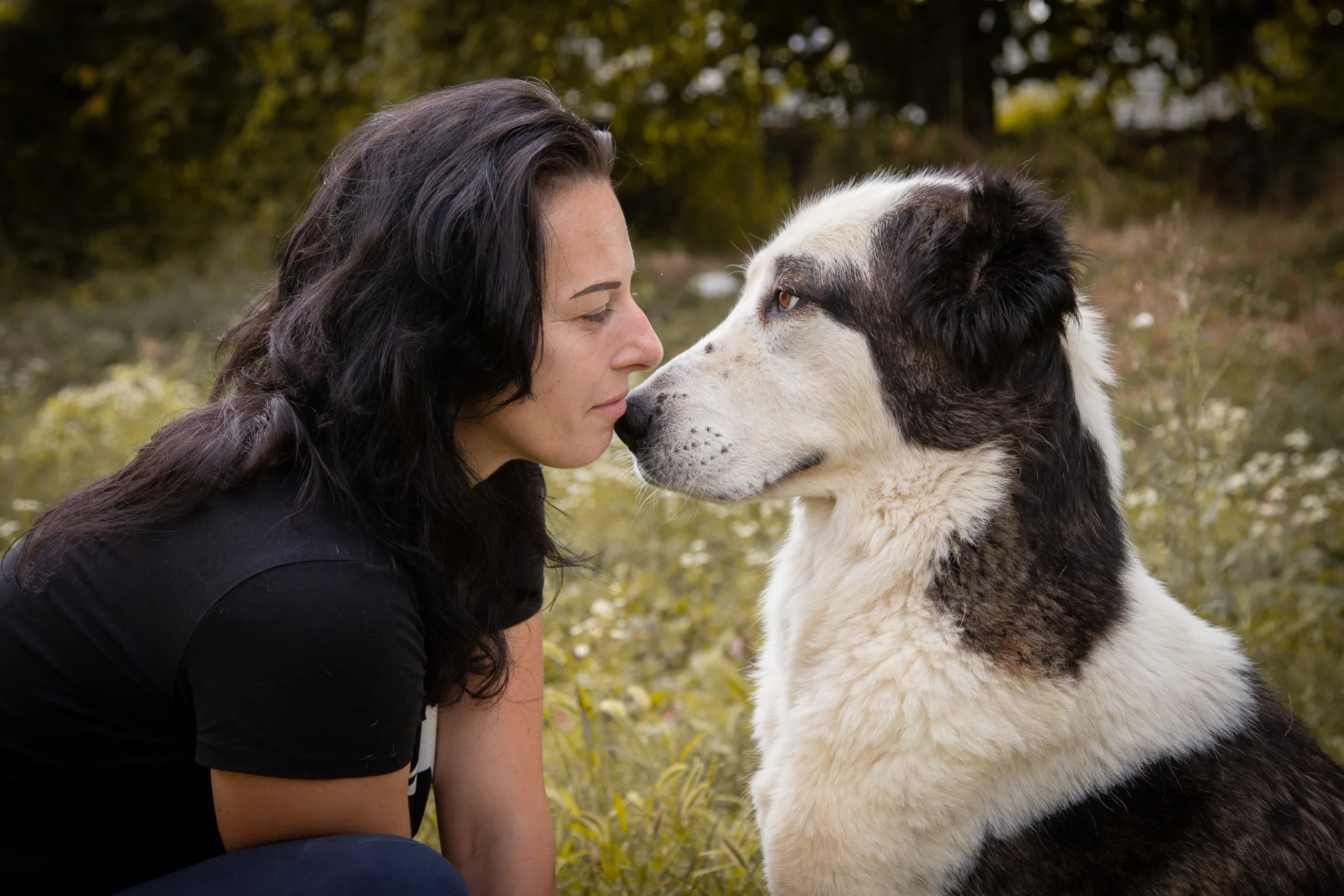 Rehaboldog - Eger - kutyakiképzés