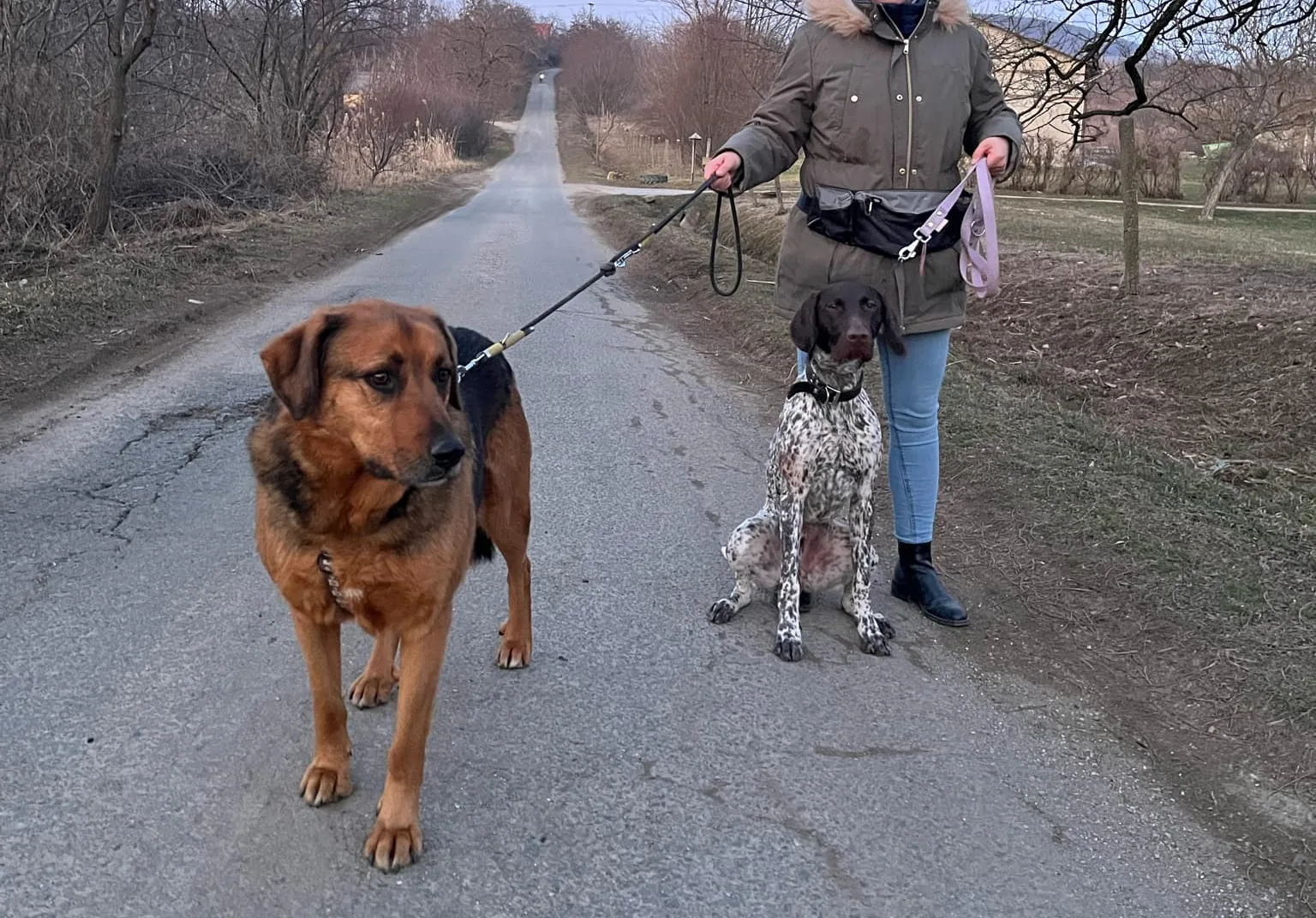 Brúnó szocializációja folytatódik