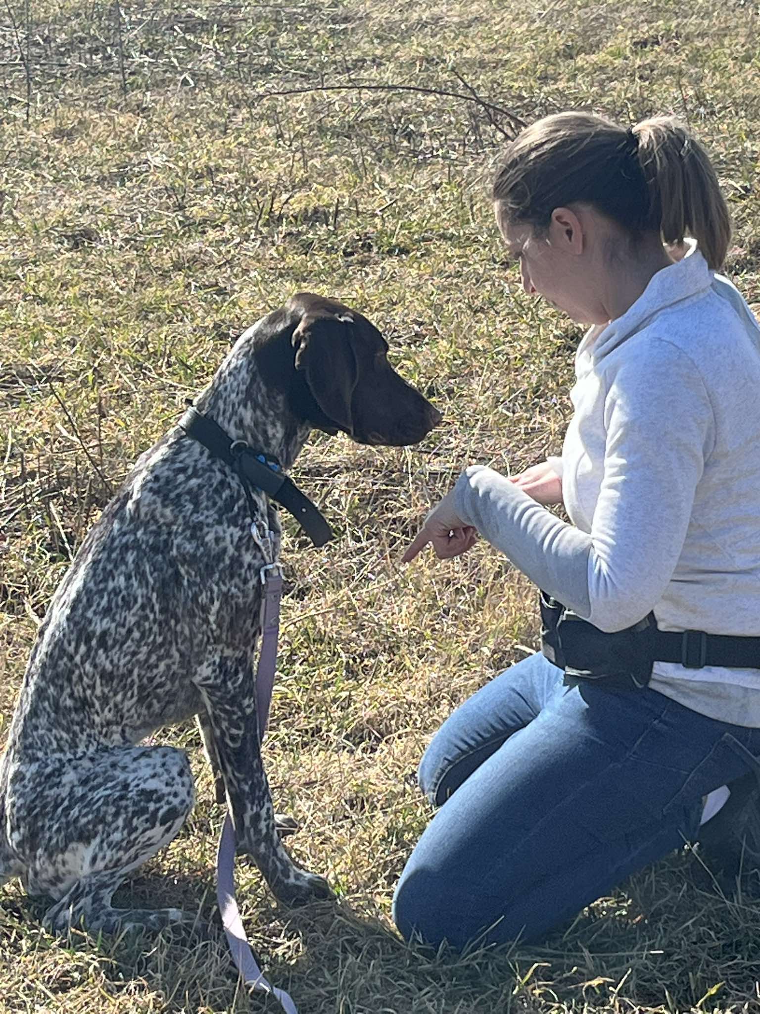 Mert nem varázsütésre javul meg egy kutya.