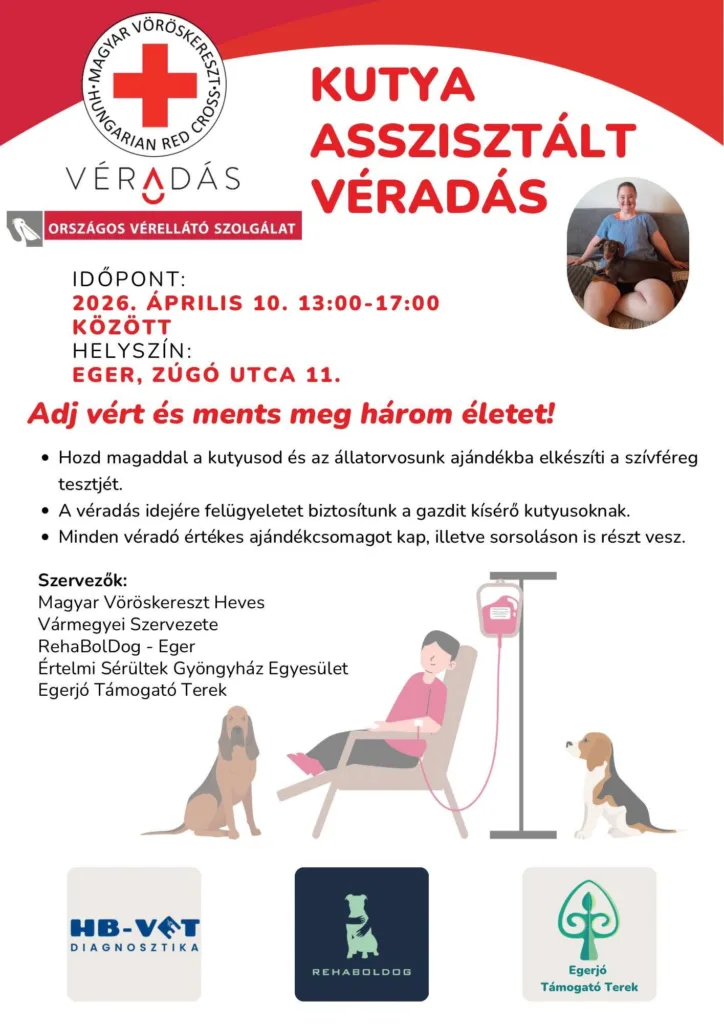 Kutya asszisztált véradás